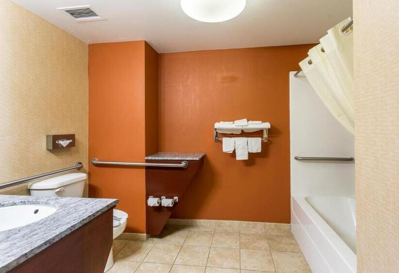 غرفة قياسية سرير كينج لذوى الإحتياجات الخاصة, Sleep Inn & Suites Dyersburg I155