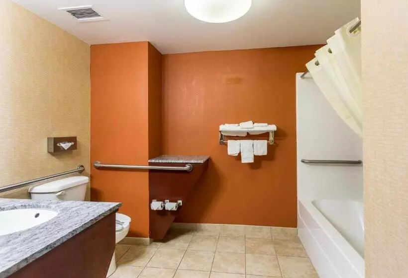 身障者適用キングサイズベッドルーム, Sleep Inn & Suites Dyersburg I155