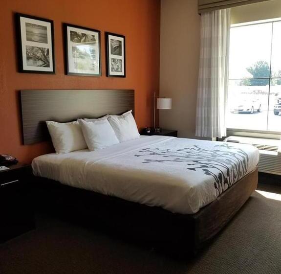 غرفة قياسية سرير كينج لذوى الإحتياجات الخاصة, Sleep Inn & Suites Dyersburg I155