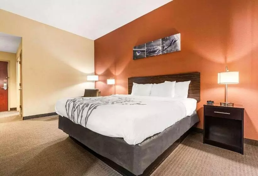 キングサイズベッドのスタンダードルーム, Sleep Inn & Suites Dyersburg I155