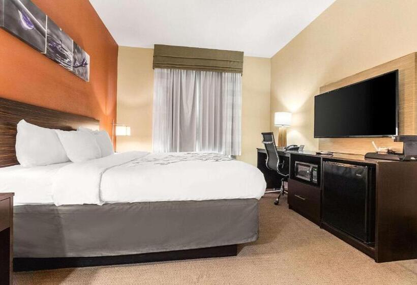 Стандартный Номер Кровать Кинг, Sleep Inn & Suites Dyersburg I155