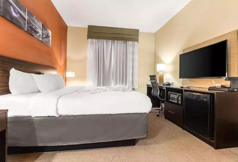 キングサイズベッドのスタンダードルーム, Sleep Inn & Suites Dyersburg I155