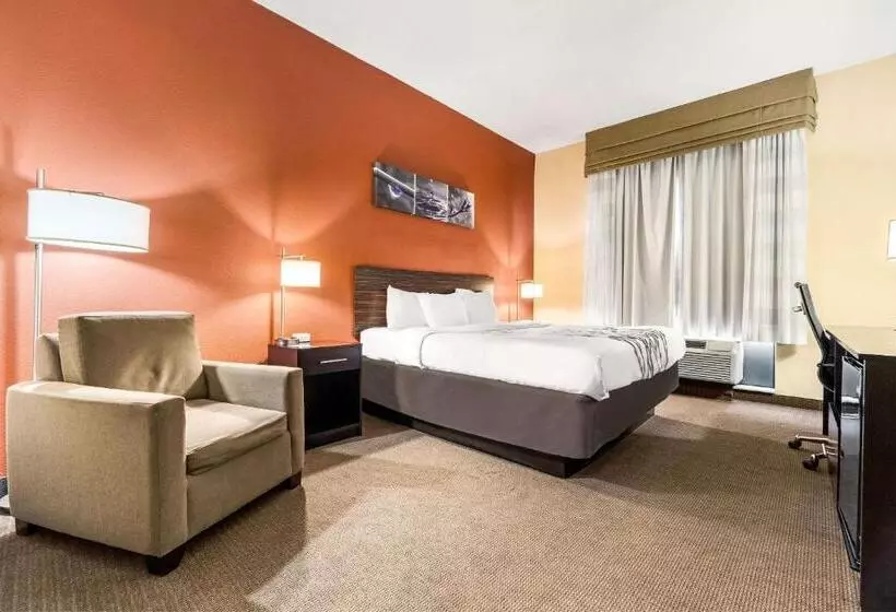 キングサイズベッドのスタンダードルーム, Sleep Inn & Suites Dyersburg I155
