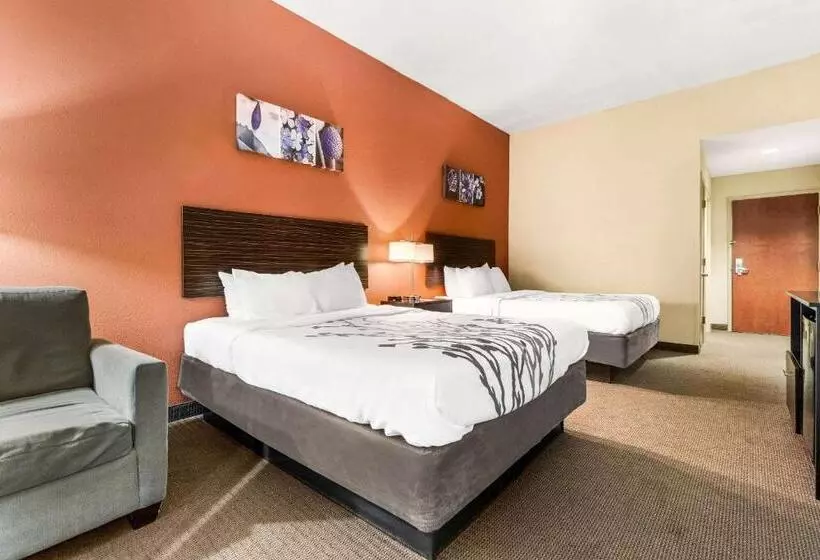 スタンダードルーム, Sleep Inn & Suites Dyersburg I155