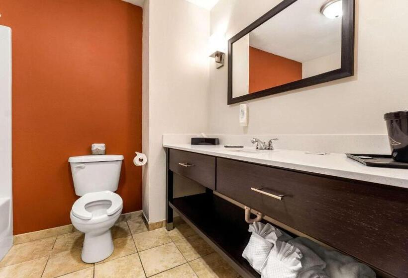 מיטת קינג בסוויטה, Sleep Inn & Suites Dyersburg I155