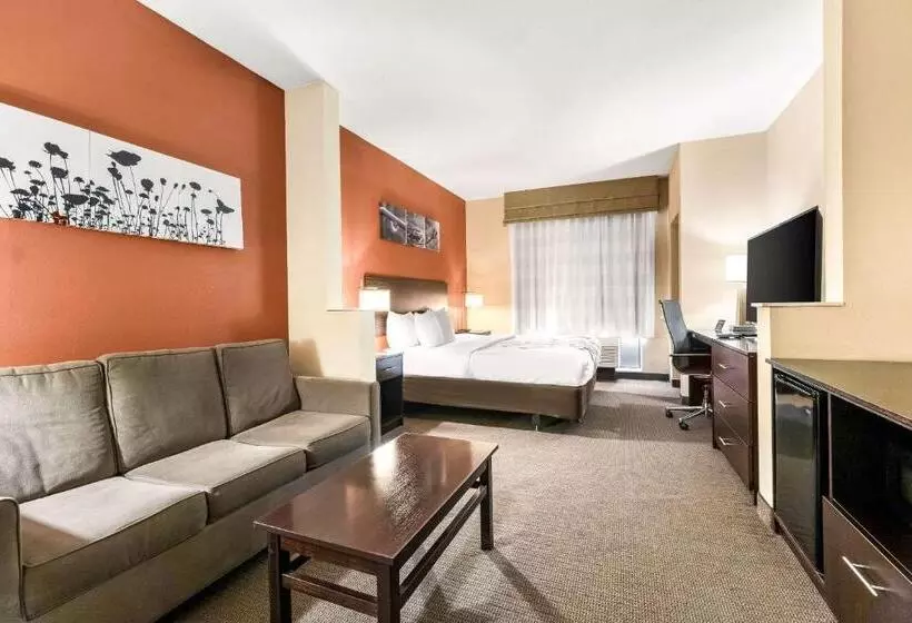 キングサイズベッドのスイートルーム, Sleep Inn & Suites Dyersburg I155
