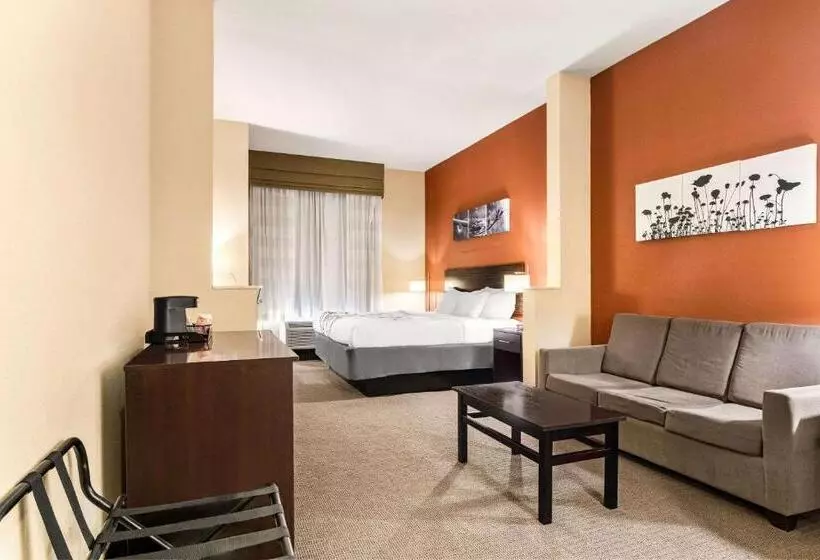 キングサイズベッドのスイートルーム, Sleep Inn & Suites Dyersburg I155