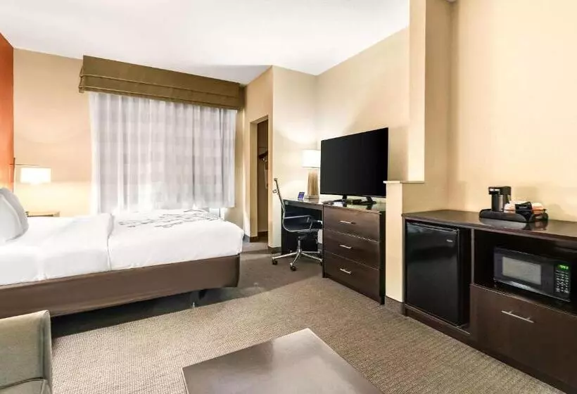 キングサイズベッドのスイートルーム, Sleep Inn & Suites Dyersburg I155