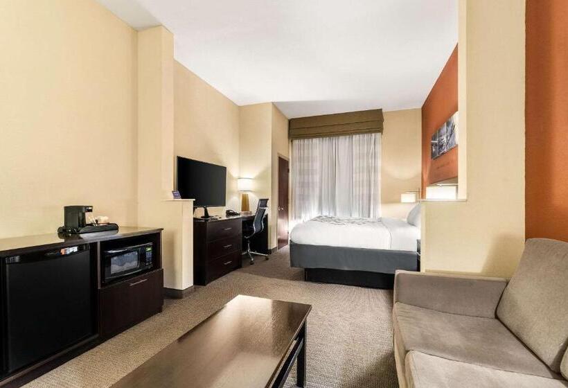 جناح سرير كينج, Sleep Inn & Suites Dyersburg I155