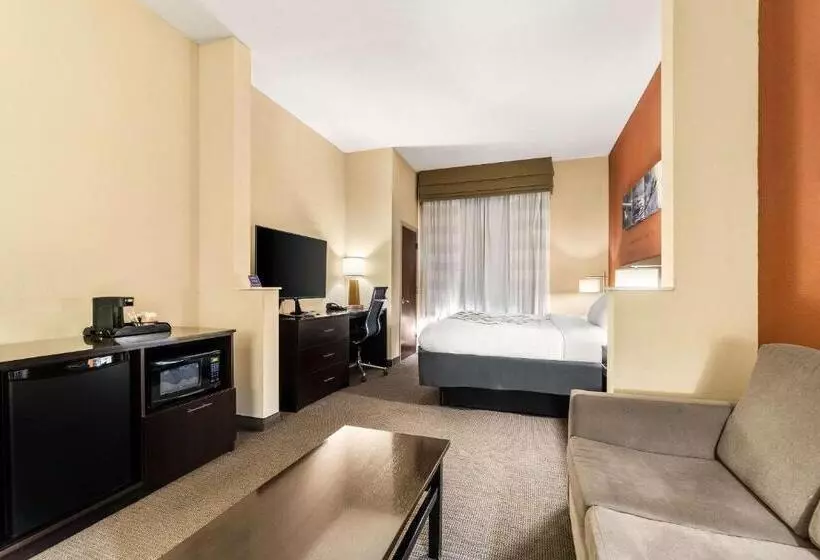 キングサイズベッドのスイートルーム, Sleep Inn & Suites Dyersburg I155