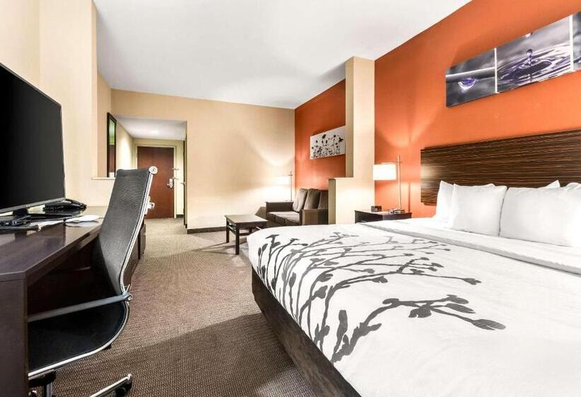 جناح سرير كينج, Sleep Inn & Suites Dyersburg I155