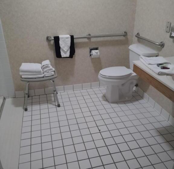 장애인을 위한 스탠다드 룸, Stay Wise Inn Cedaredge