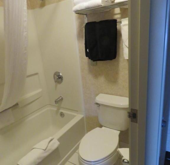 استودیو استاندارد با تخت کینگ, Stay Wise Inn Cedaredge