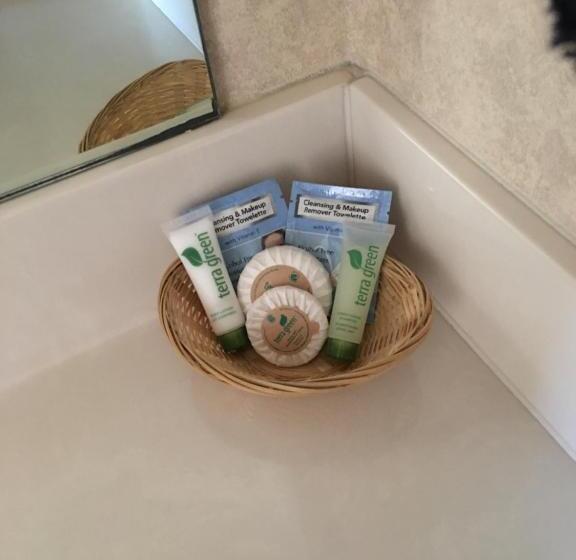 استودیوی استاندارد, Stay Wise Inn Cedaredge