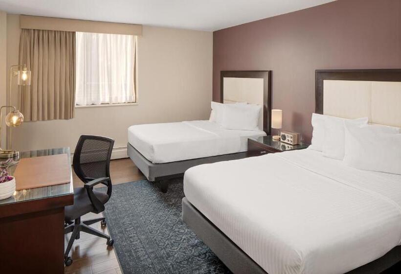 标准间, The Andrew