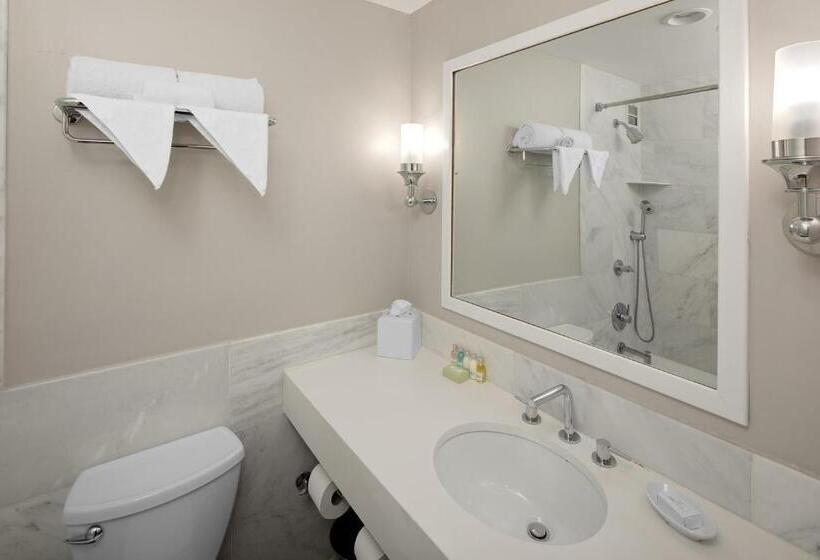 标准间, The Andrew