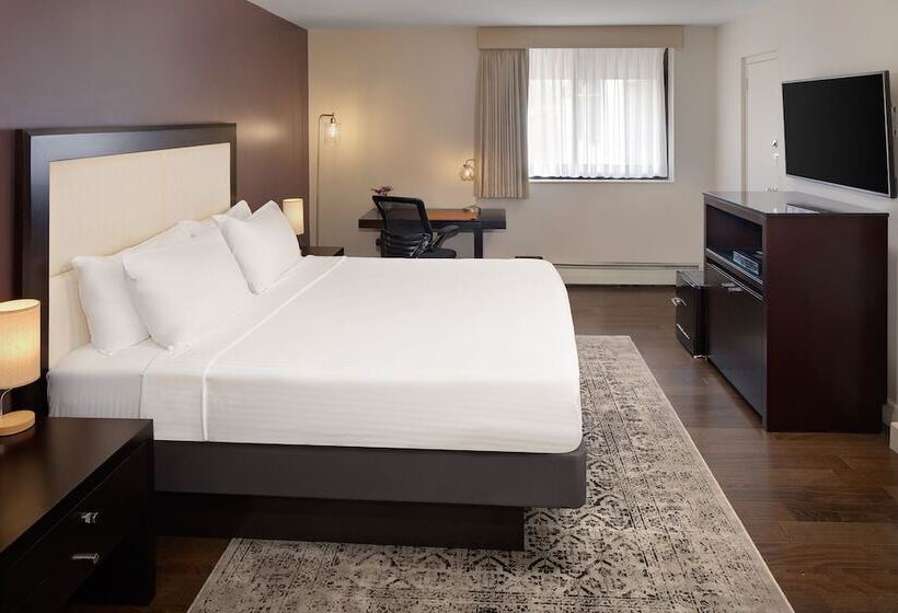 标准间带双人床, The Andrew