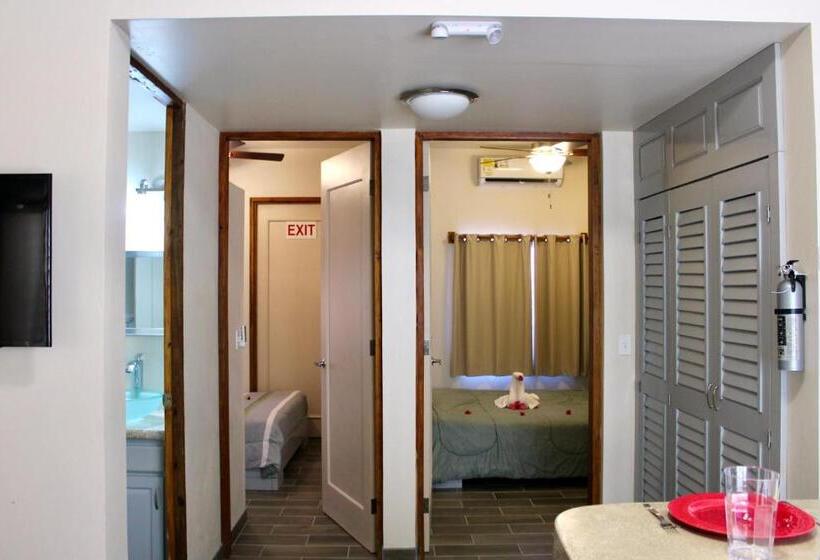 带1个卧室的高级公寓, San Pablo Villas