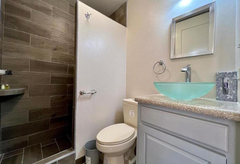 带1个卧室的豪华公寓, San Pablo Villas