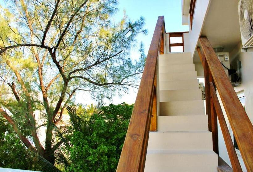 2 Bedroom Family Apartment with Views, San Pablo Villas