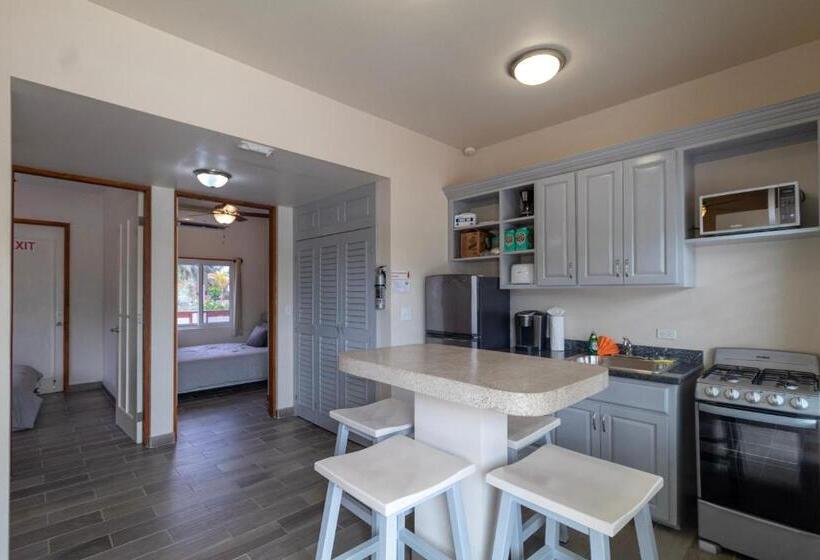 Апартаменты 1 Спальня Нижний Этаж, San Pablo Villas