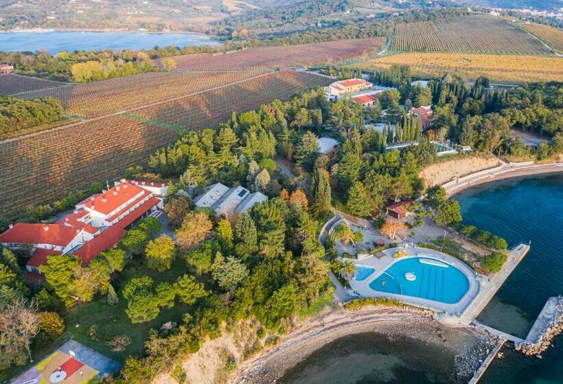 اتاق خانوادگی, Depandansa Bor