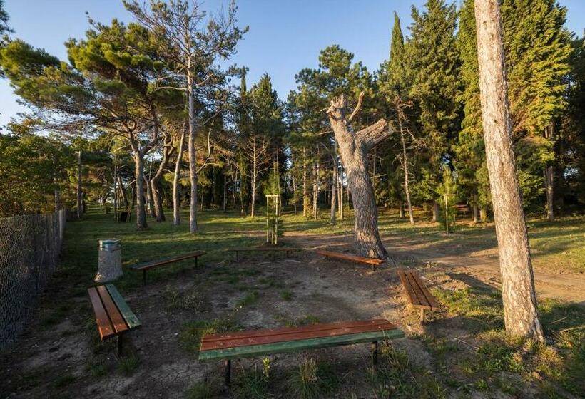 اتاق خانوادگی, Depandansa Bor