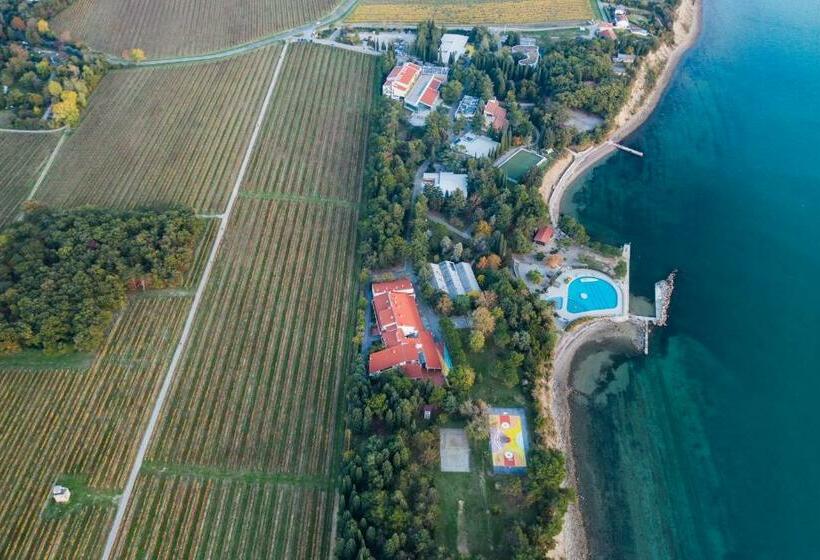 اتاق خانوادگی, Depandansa Bor