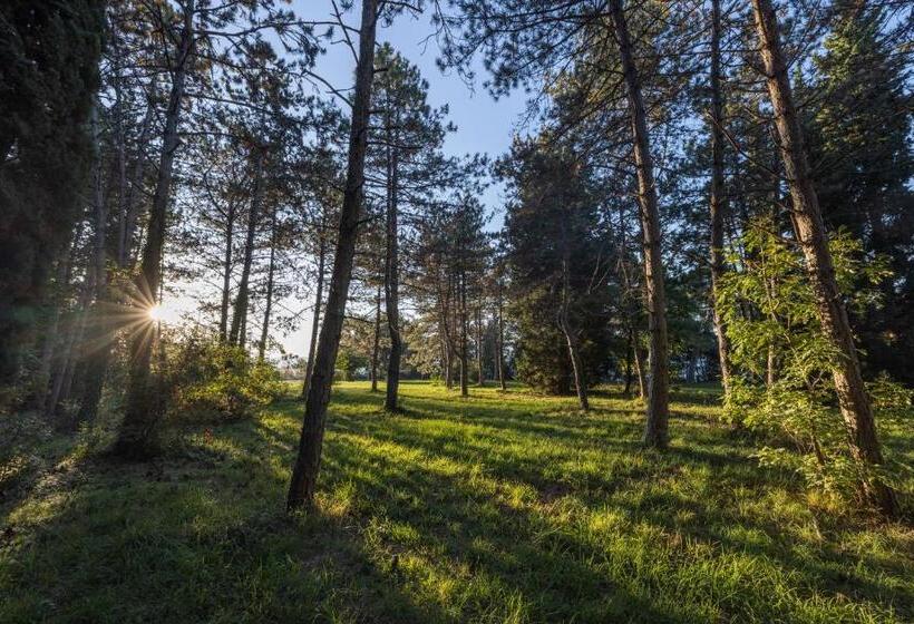 اتاق عادی, Depandansa Bor