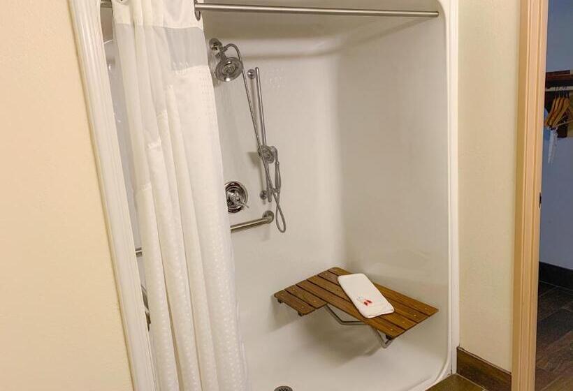 اتاق استاندارد برای معلولان, Baymont By Wyndham Chelsea