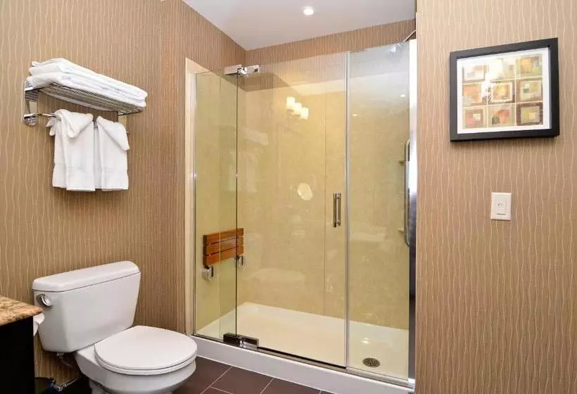 اتاق استاندارد با تخت بزرگ, Best Western Premier Freeport Inn Calgary Airport