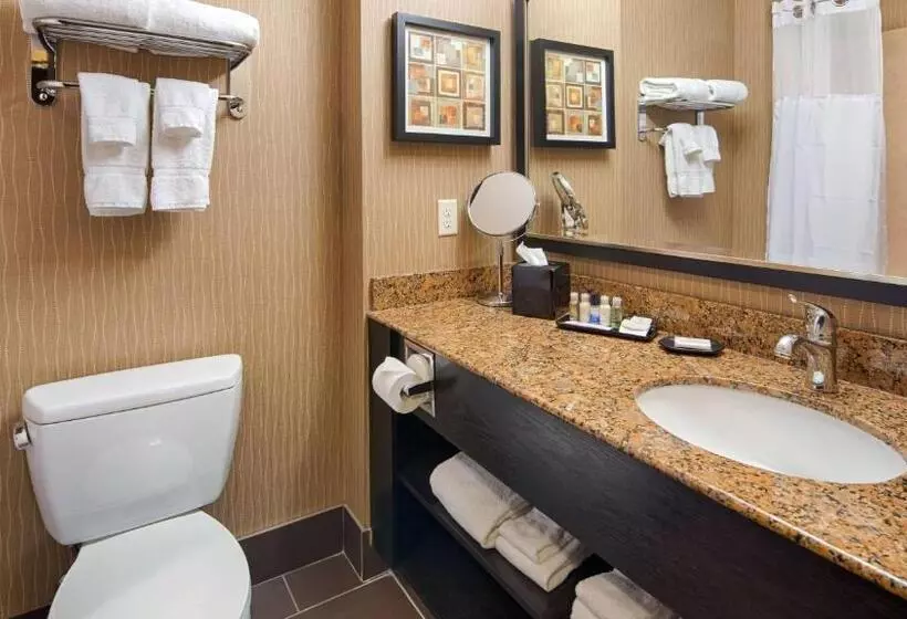 اتاق استاندارد با تخت بزرگ, Best Western Premier Freeport Inn Calgary Airport