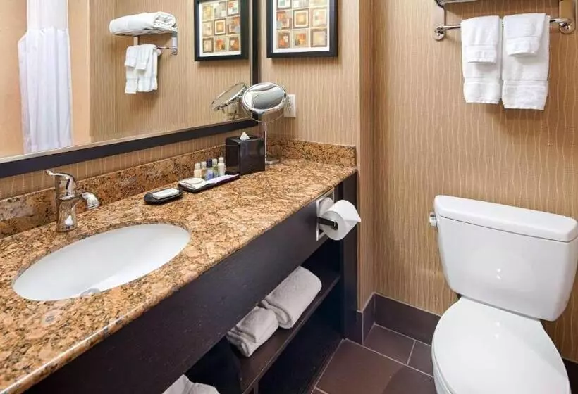 اتاق استاندارد با تخت بزرگ, Best Western Premier Freeport Inn Calgary Airport