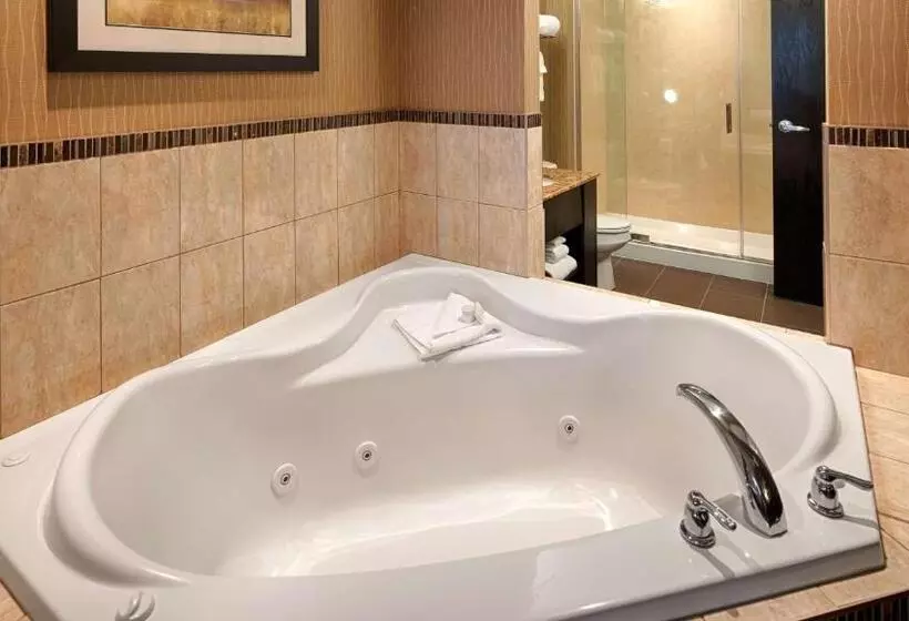 سوئیت با تخت بزرگ, Best Western Premier Freeport Inn Calgary Airport