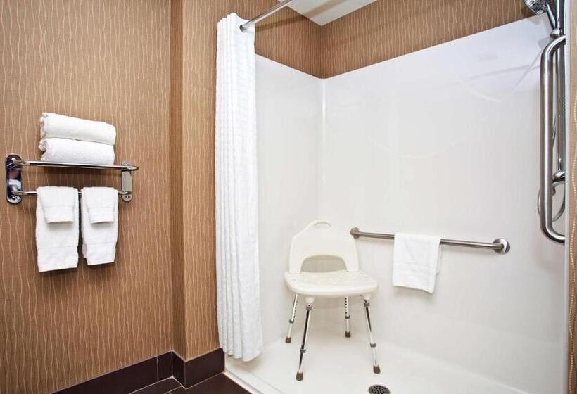 חדר סטנדרט, מיטת קינג, מותאם לאדם עם מוגבלויות, Best Western Premier Freeport Inn Calgary Airport