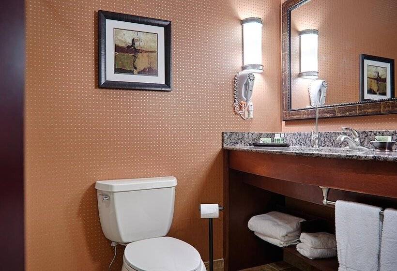 带2个双人床的标准工作室, Best Western Plus Kc Speedway Inn & Suites