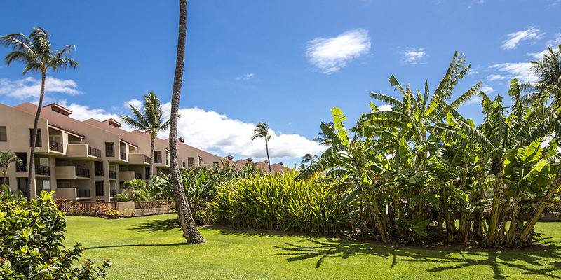 Люкс Вид на Сад, Castle Kama Ole Sands