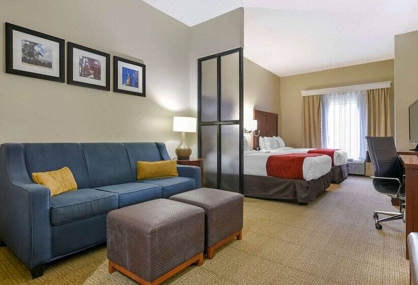 장애인을 위한 스위트, Comfort Suites Fultondale I65 Near I22