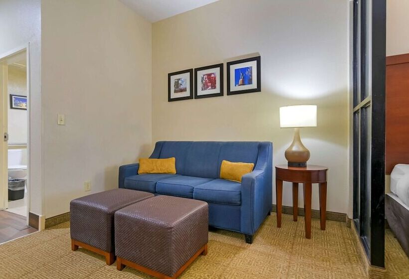 Люкс Адаптированный для Инвалидов, Comfort Suites Fultondale I65 Near I22