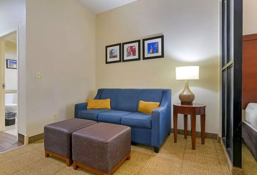 身障者適用スイートルーム, Comfort Suites Fultondale I65 Near I22