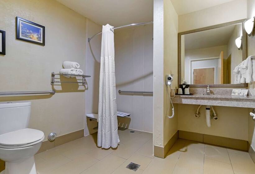 Люкс Адаптированный для Инвалидов, Comfort Suites Fultondale I65 Near I22