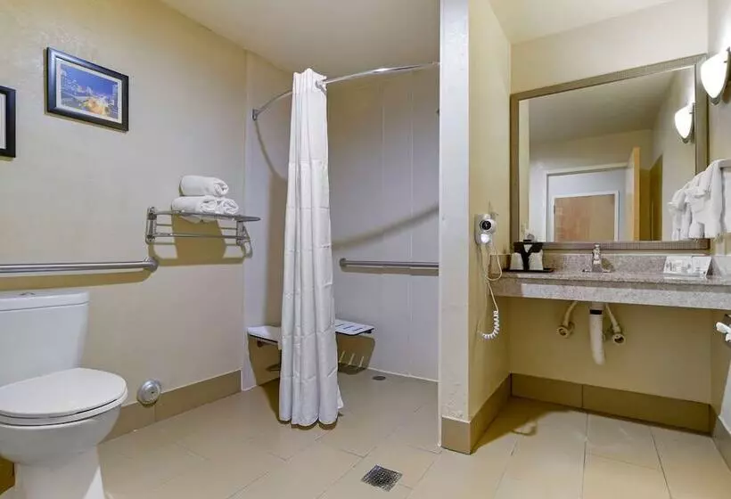 身障者適用スイートルーム, Comfort Suites Fultondale I65 Near I22