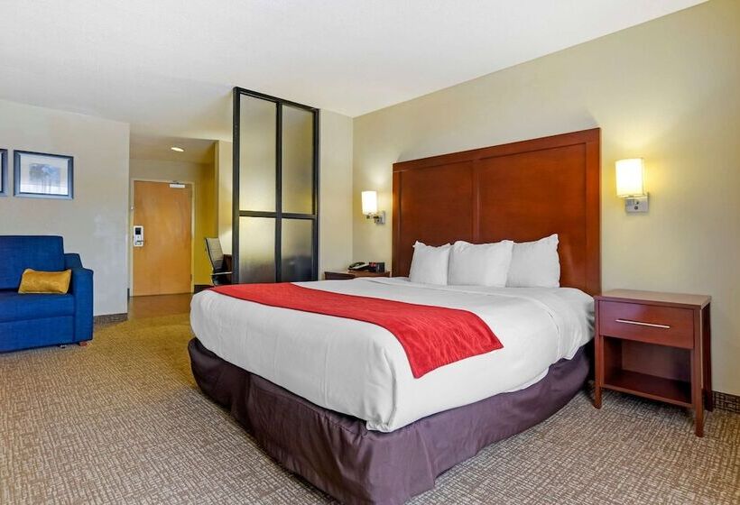 장애인을 위한 스위트, Comfort Suites Fultondale I65 Near I22