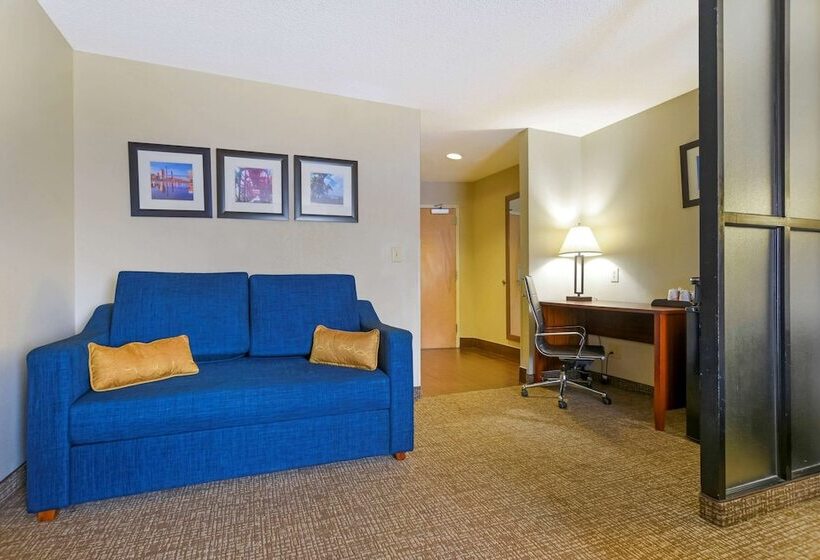 Люкс Адаптированный для Инвалидов, Comfort Suites Fultondale I65 Near I22