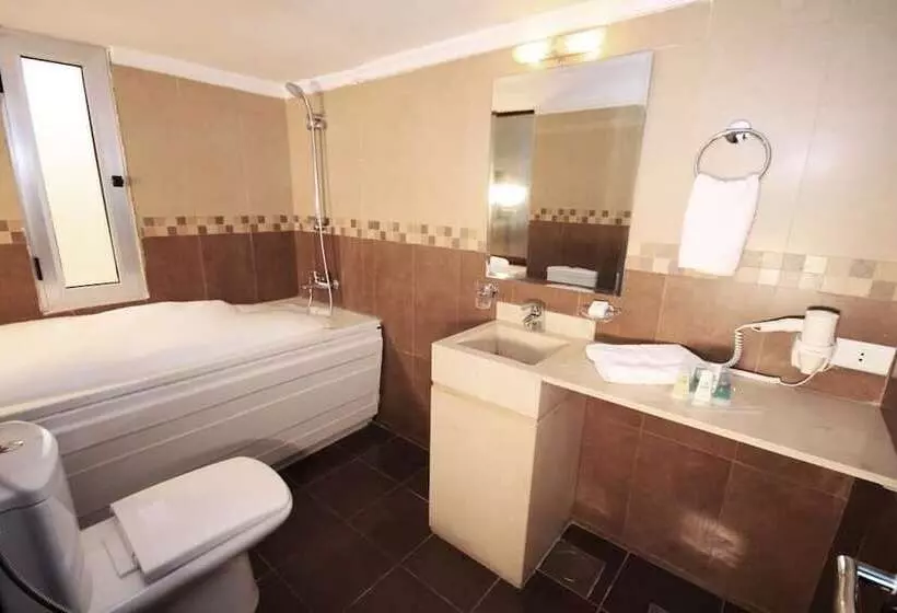 اتاق استاندارد با چشمانداز شهر, Rivoli Palace