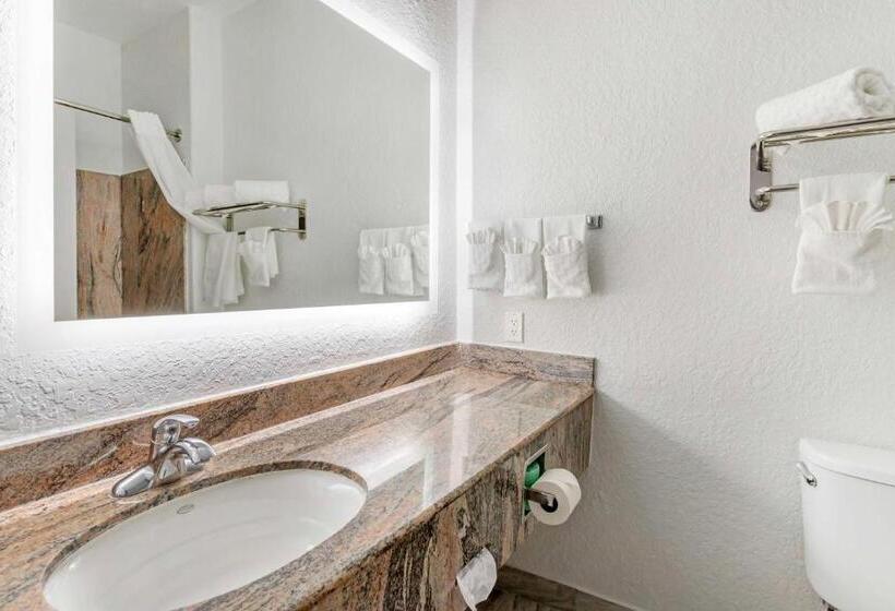 스탠다드 룸, Best Western Texas City I 45