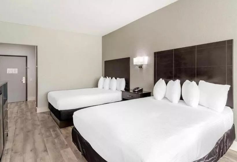 スタンダードルーム, Best Western Texas City I 45