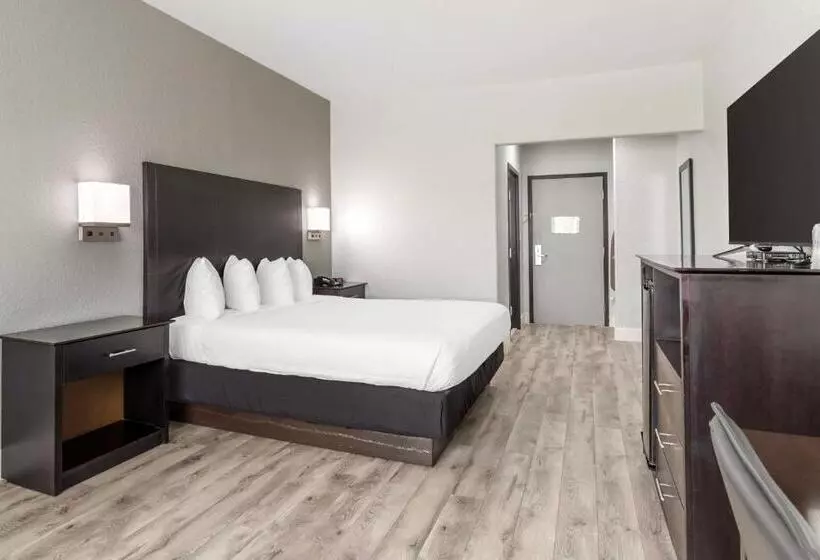 キングサイズベッドのスタンダードルーム, Best Western Texas City I 45