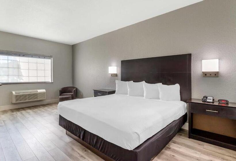 חדר סטנדרט עם מיטת קינג, Best Western Texas City I 45