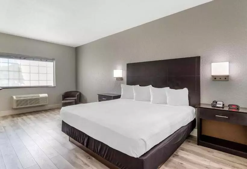 キングサイズベッドのスタンダードルーム, Best Western Texas City I 45